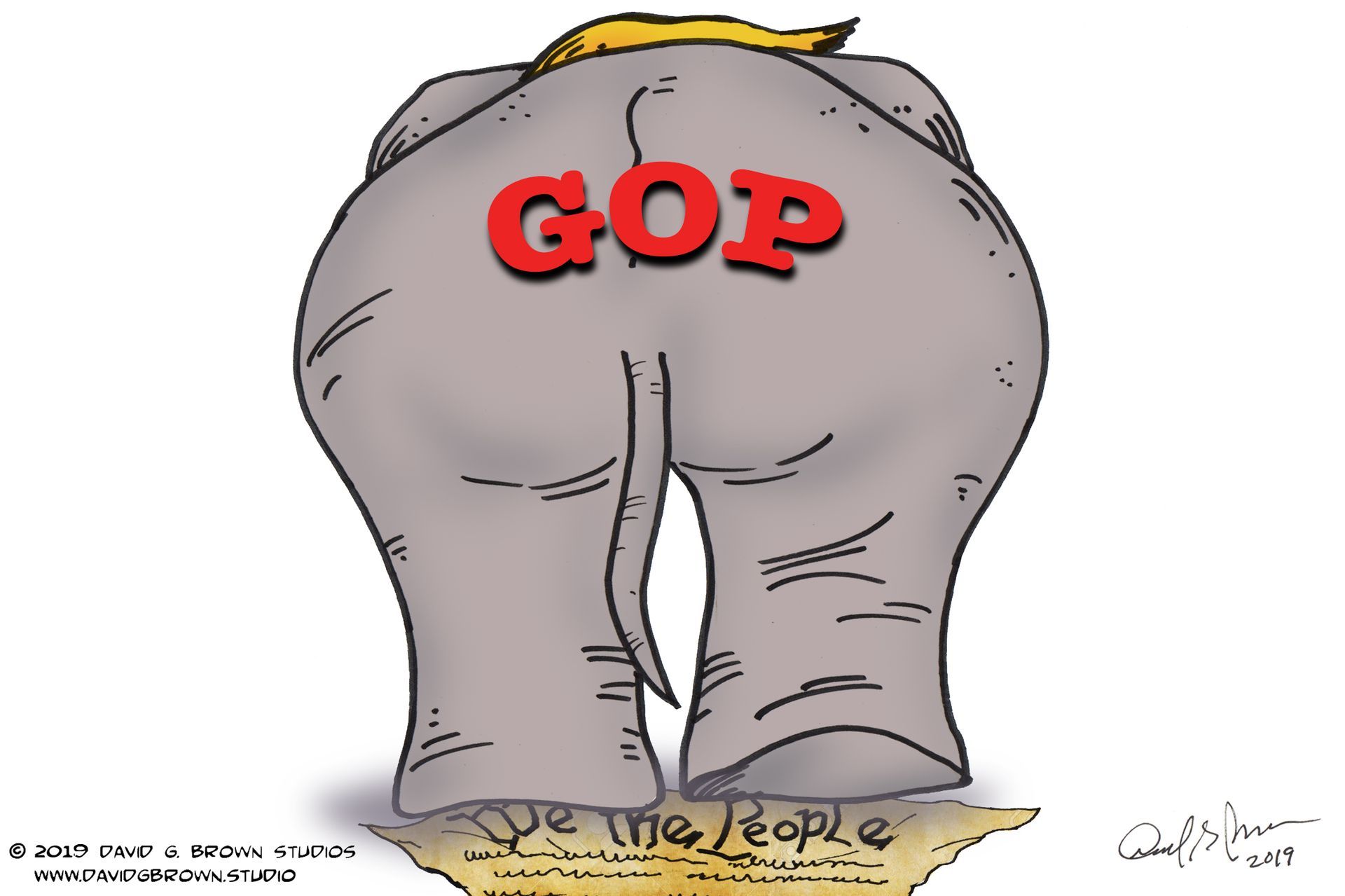 Rear view of an elephant's rear with 