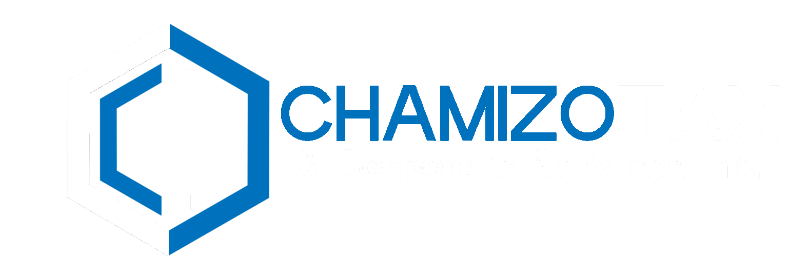 Logo for Chamizo with a blue geometric shape and text.