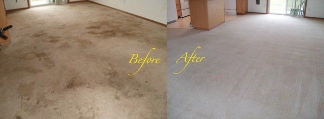 Before & After Power Scrubbing