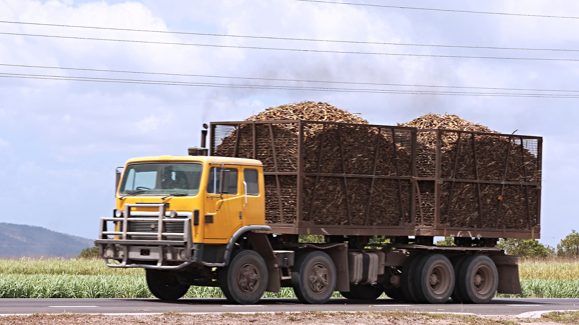 A yellow truck is carrying a large load of sugar cane