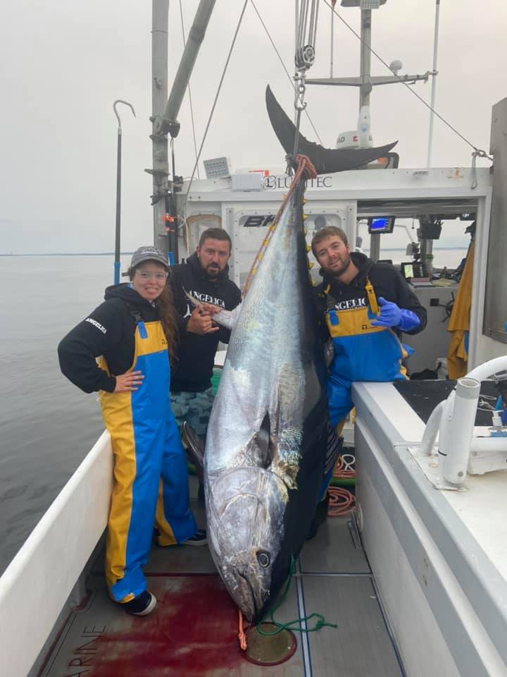 Angelica Fisheries Inshore & Offshore Fishing Charters Gloucester MA.