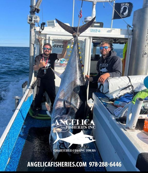【fishing journey】カマチョ Pisces Fleet Fish Report June 14-20, 2024 Pisces Fleet Fish