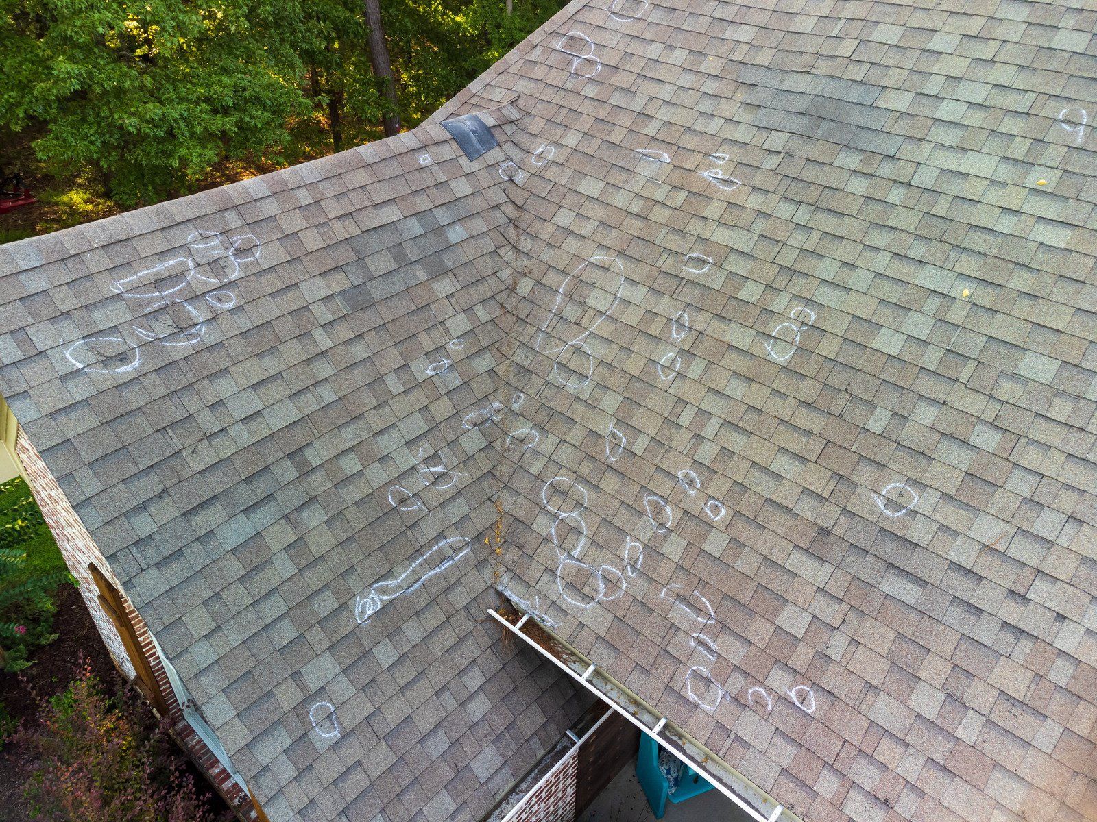 Overhead view of a gray asphalt shingle roof with numerous light-colored, circular discolorations.
