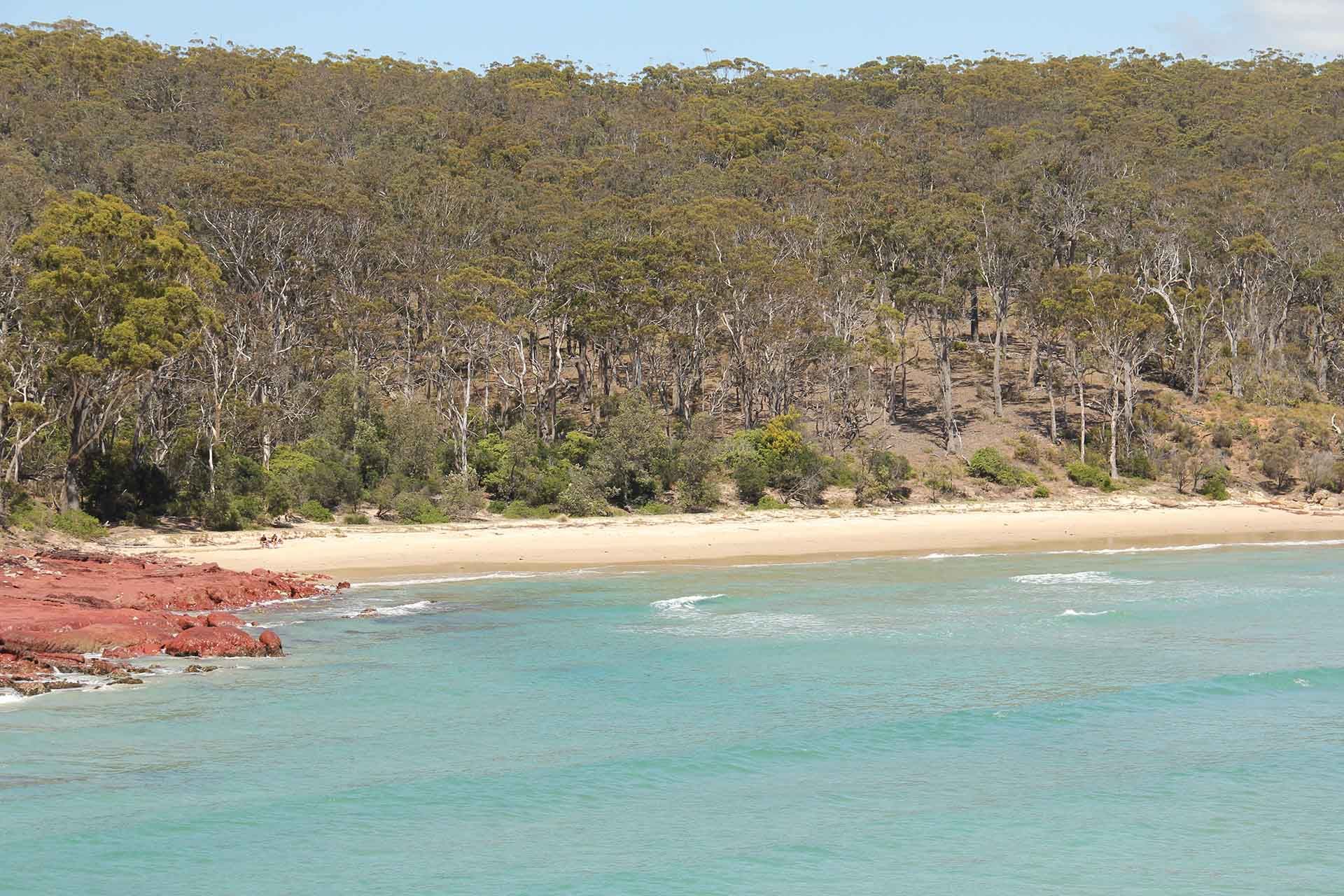 Barmouth Beach walk, Sapphire Coast, Beowa National Park