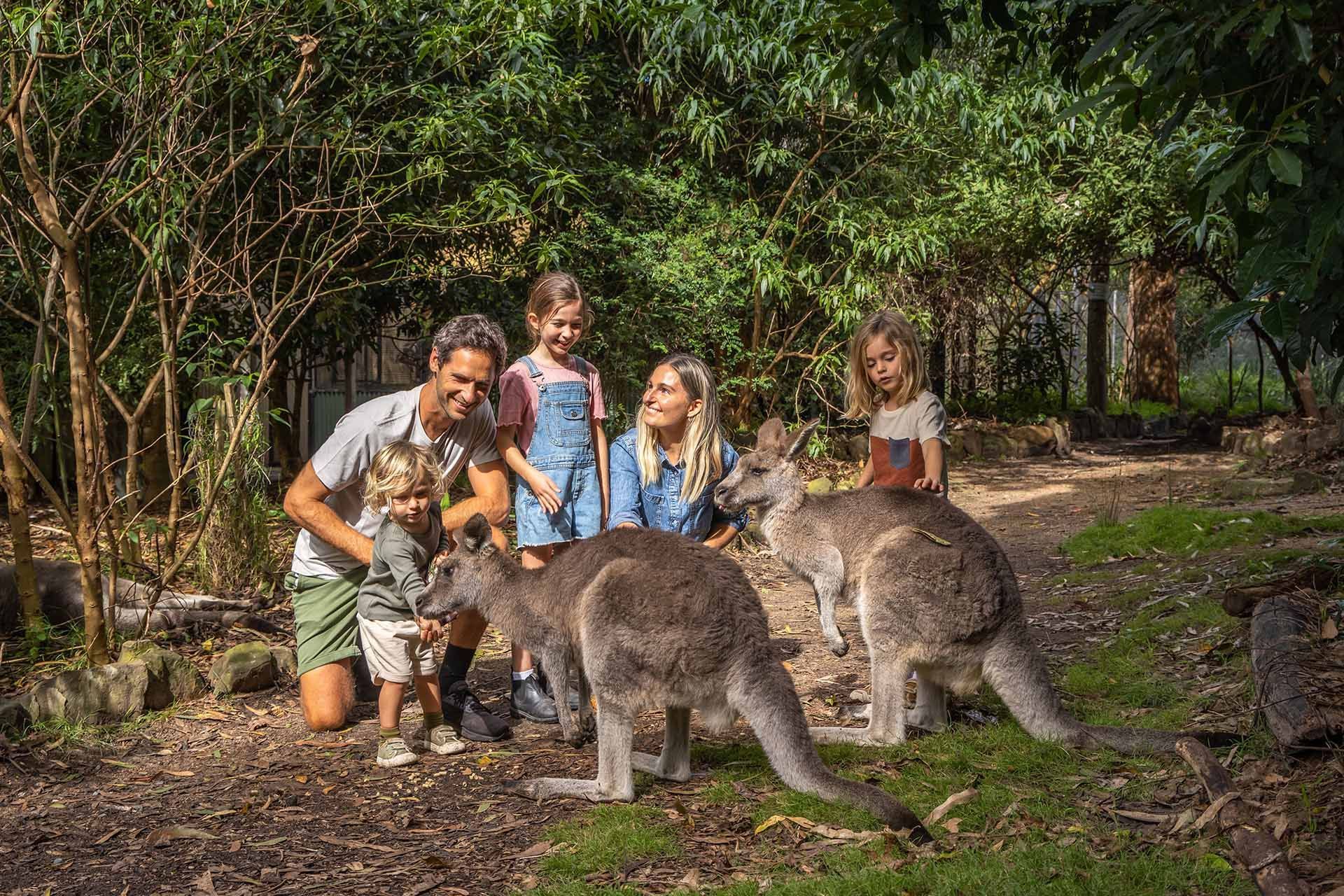 zoos and wildlife parks south coast nsw