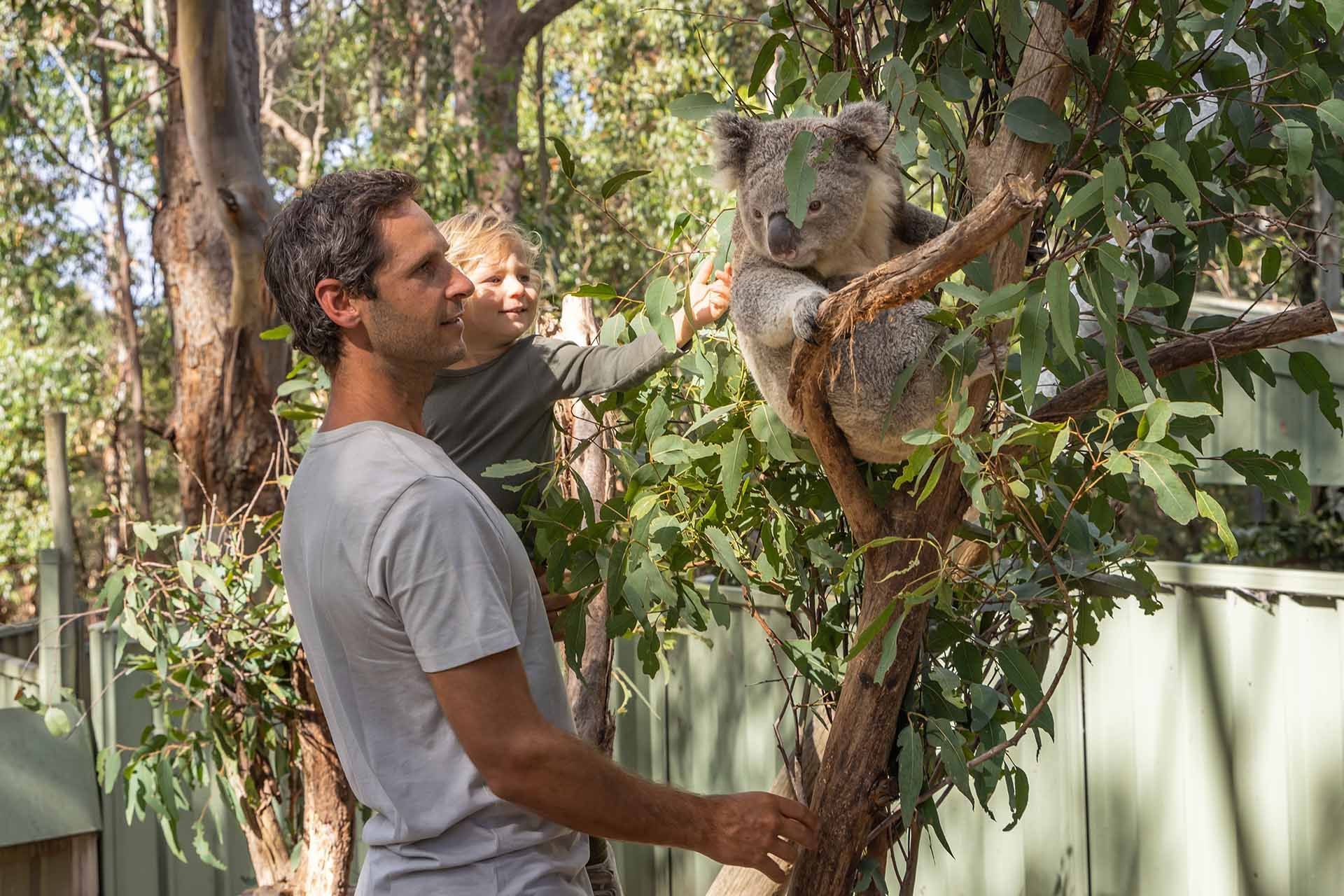 Family-friendly things to do on the Sapphire Coast - Potoroo Palace Merimbula