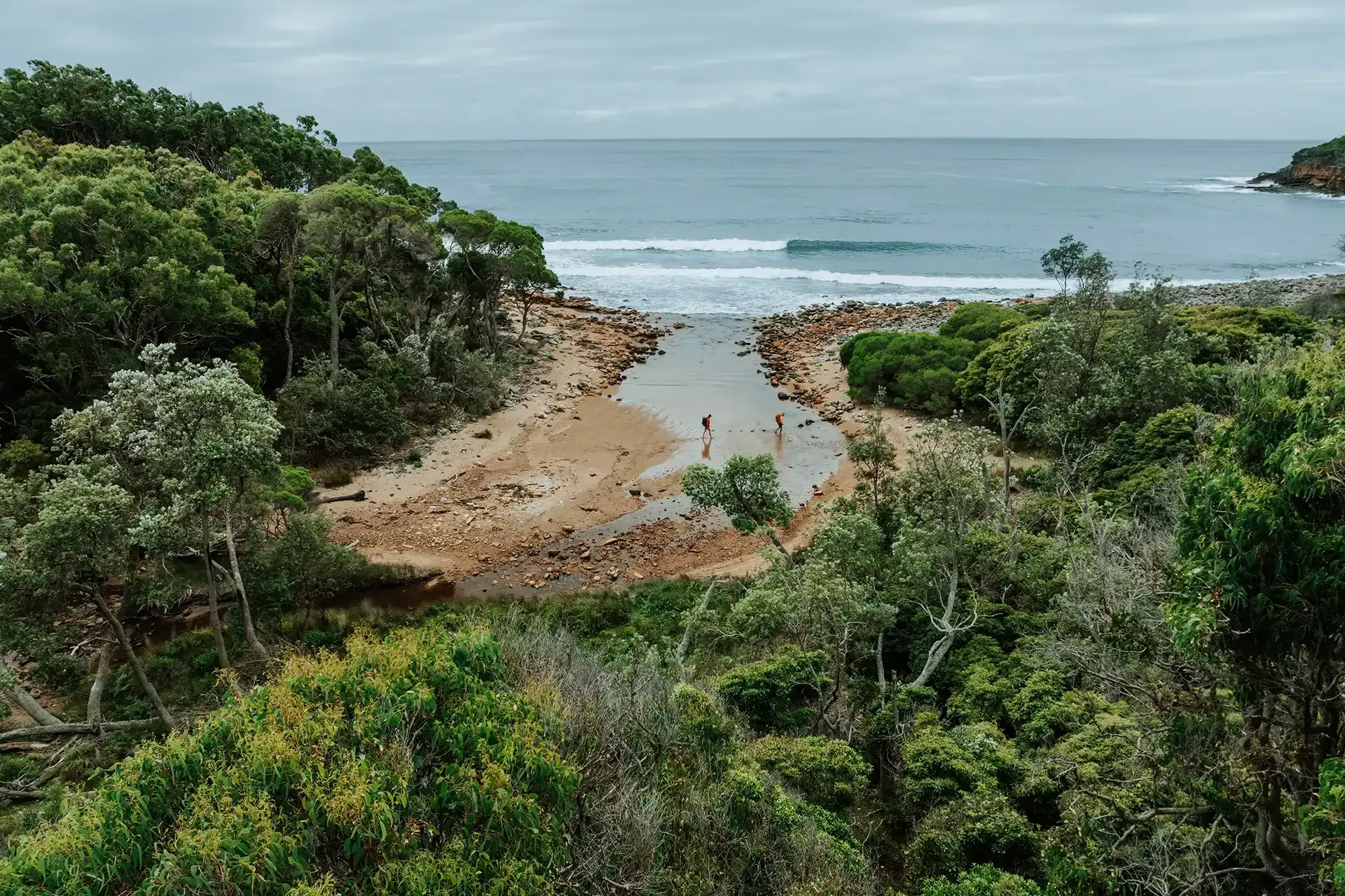 Leather Jacket Bay, Sapphire Coast