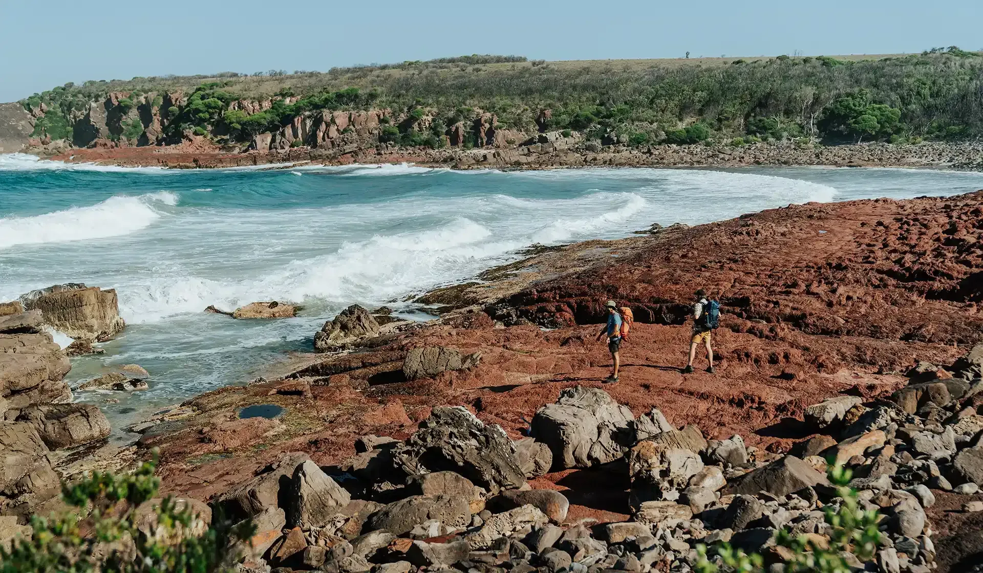 Walks, South Coast NSW, Whale Watching, Sapphire Coast, Walking, National Parks, Light to Light Walk