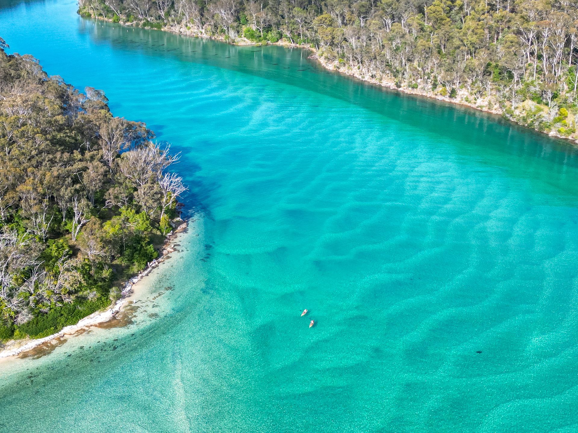 Eat Merimbula Festival, Sapphire Coast NSW