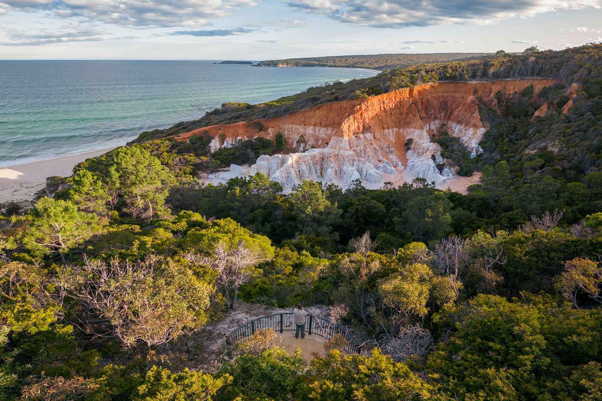 The Pinnacles loop walking track, Beowa National Park