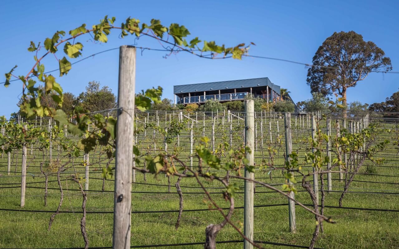 Mimosa Wines near Bermagui, Sapphire Coast