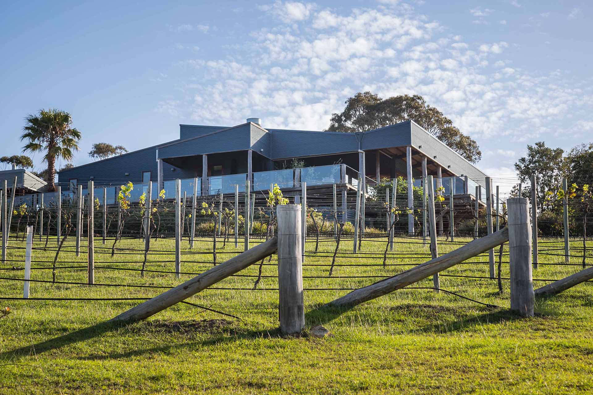 Mimosa Wines, Bermagui