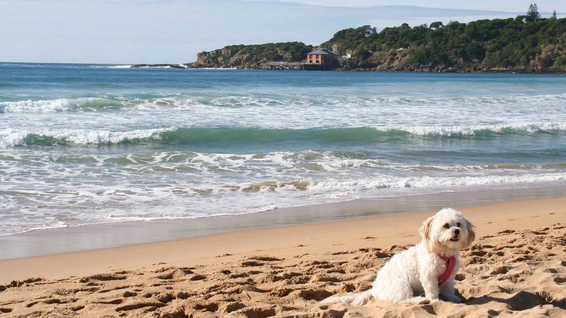 Tathra Beachside