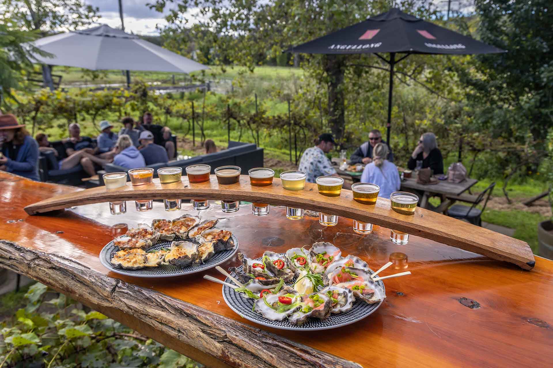 Longstocking Brewery and Oyster Bar in Pambula, NSW