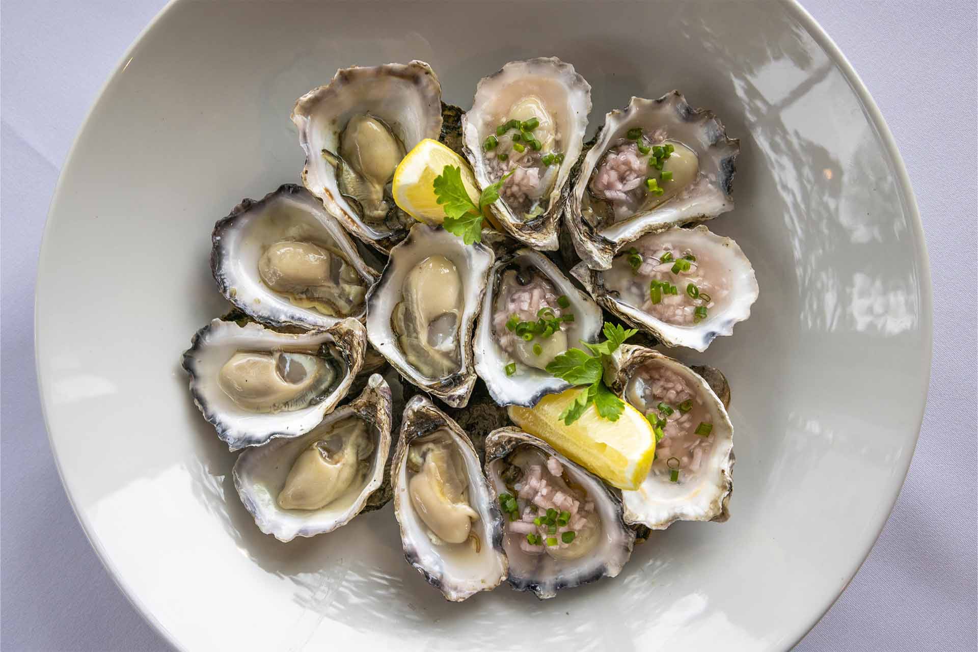 Where to eat oysters, Sapphire Coast NSW, Merimbula