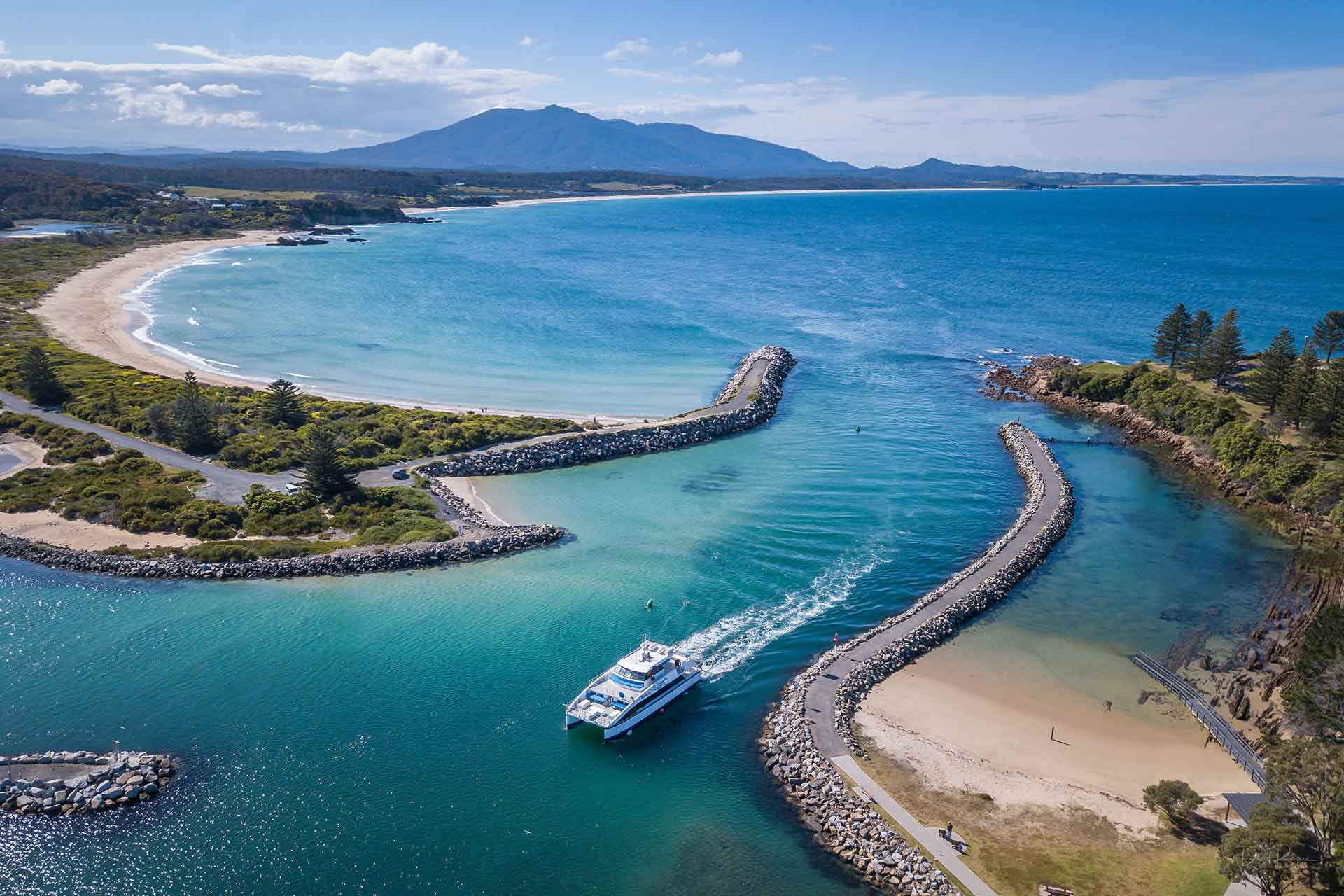 Things to do on the Sapphire Coast - Whale Watching Cruises