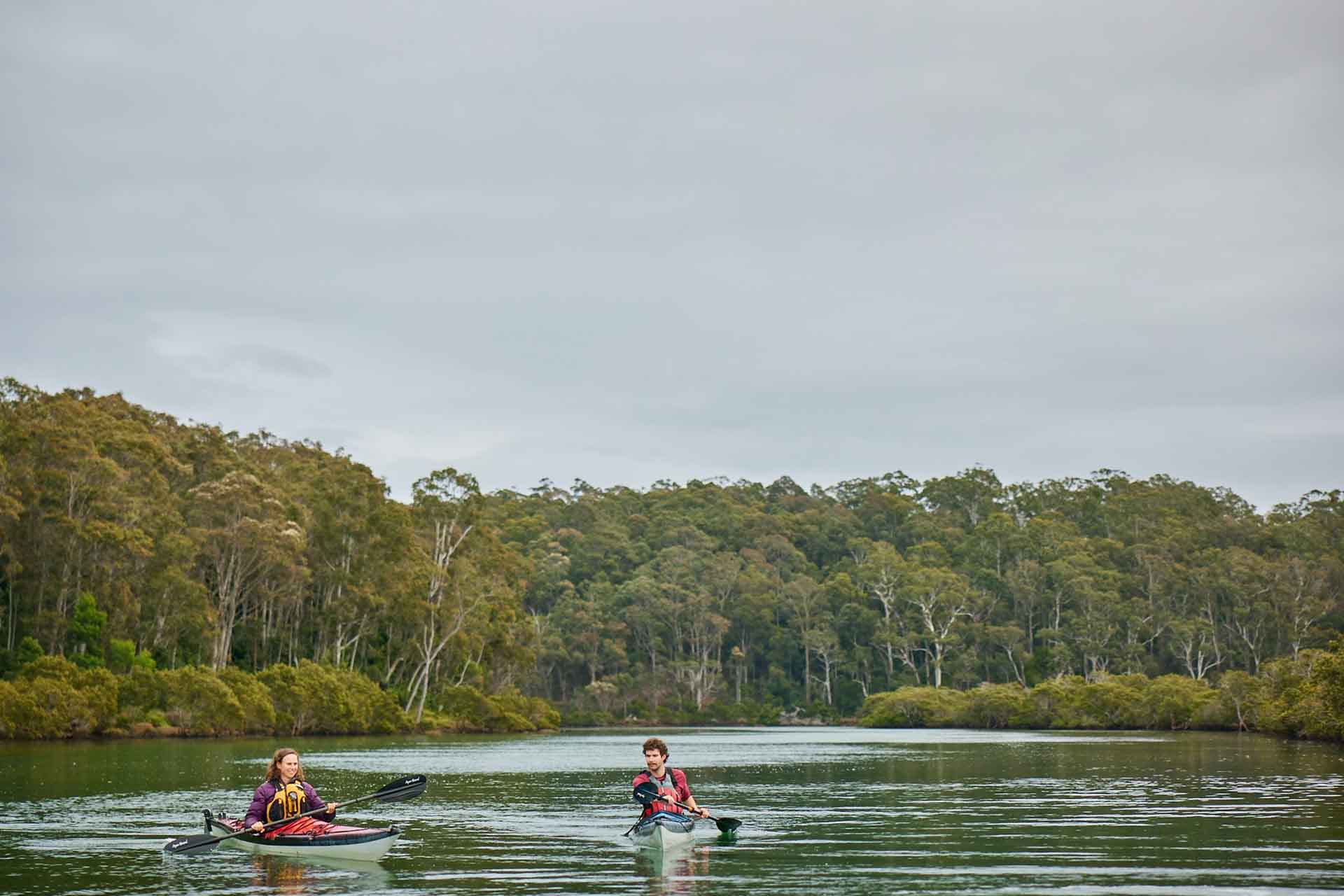 Kayak tour along Bermagui River, Navigate Expeditions, Sapphire Coast