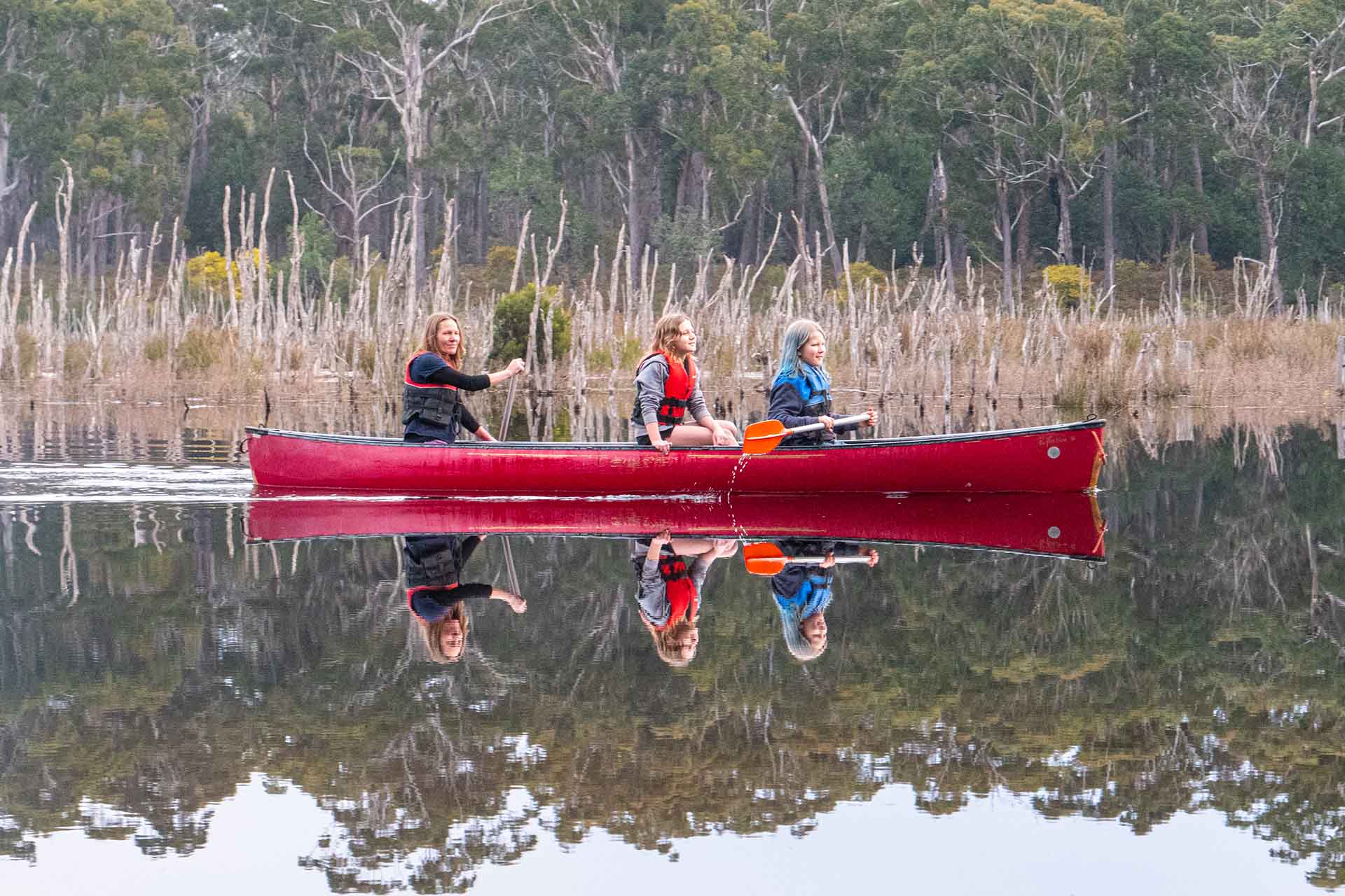 kayaking tours south coast, Sapphire Coast NSW
