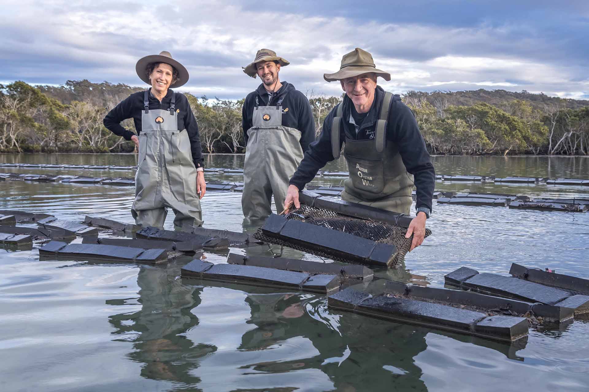 Tathra Oysters, NSW