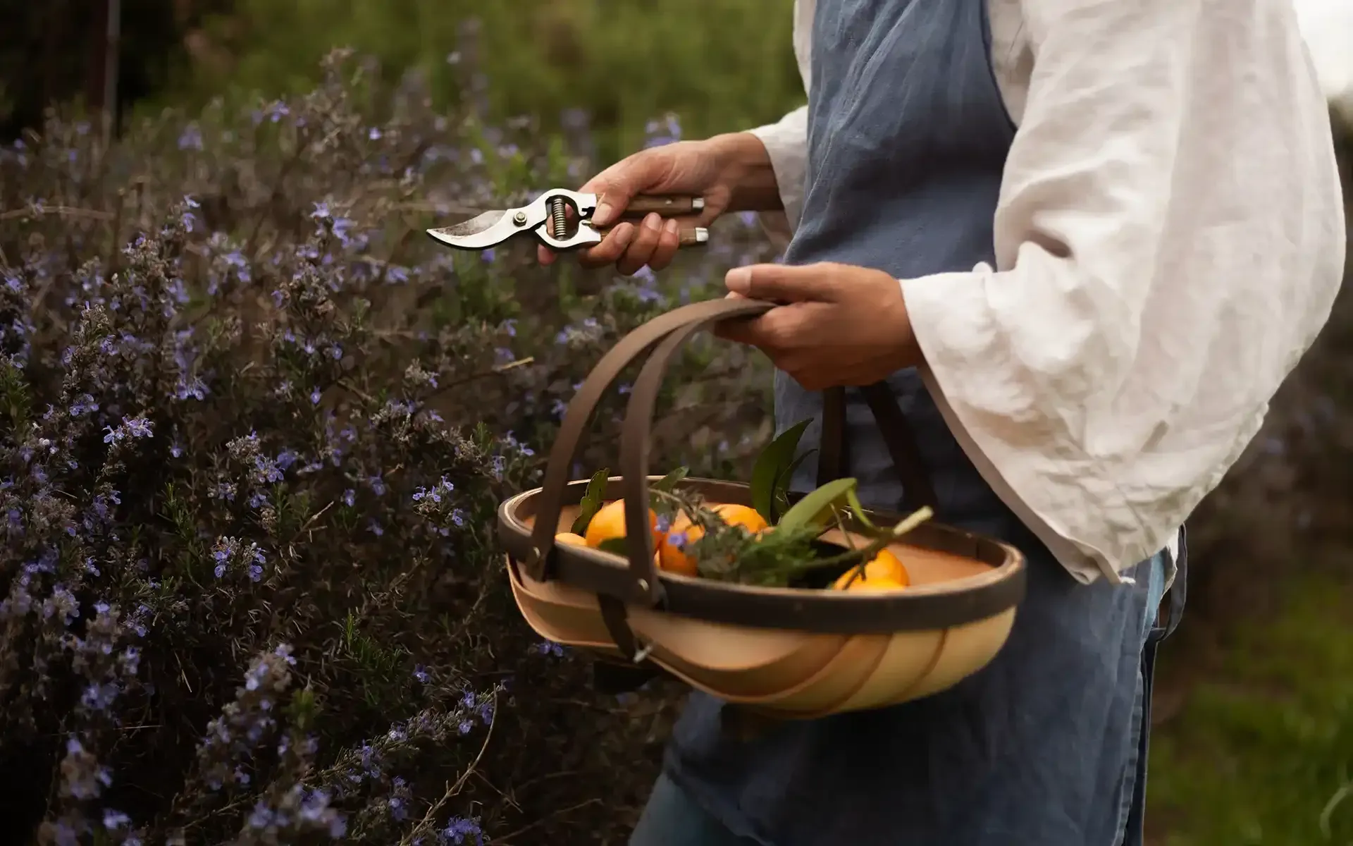 Foodie itinerary Sapphire Coast, food and wine NSW South Coast, local produce, dining out, markets