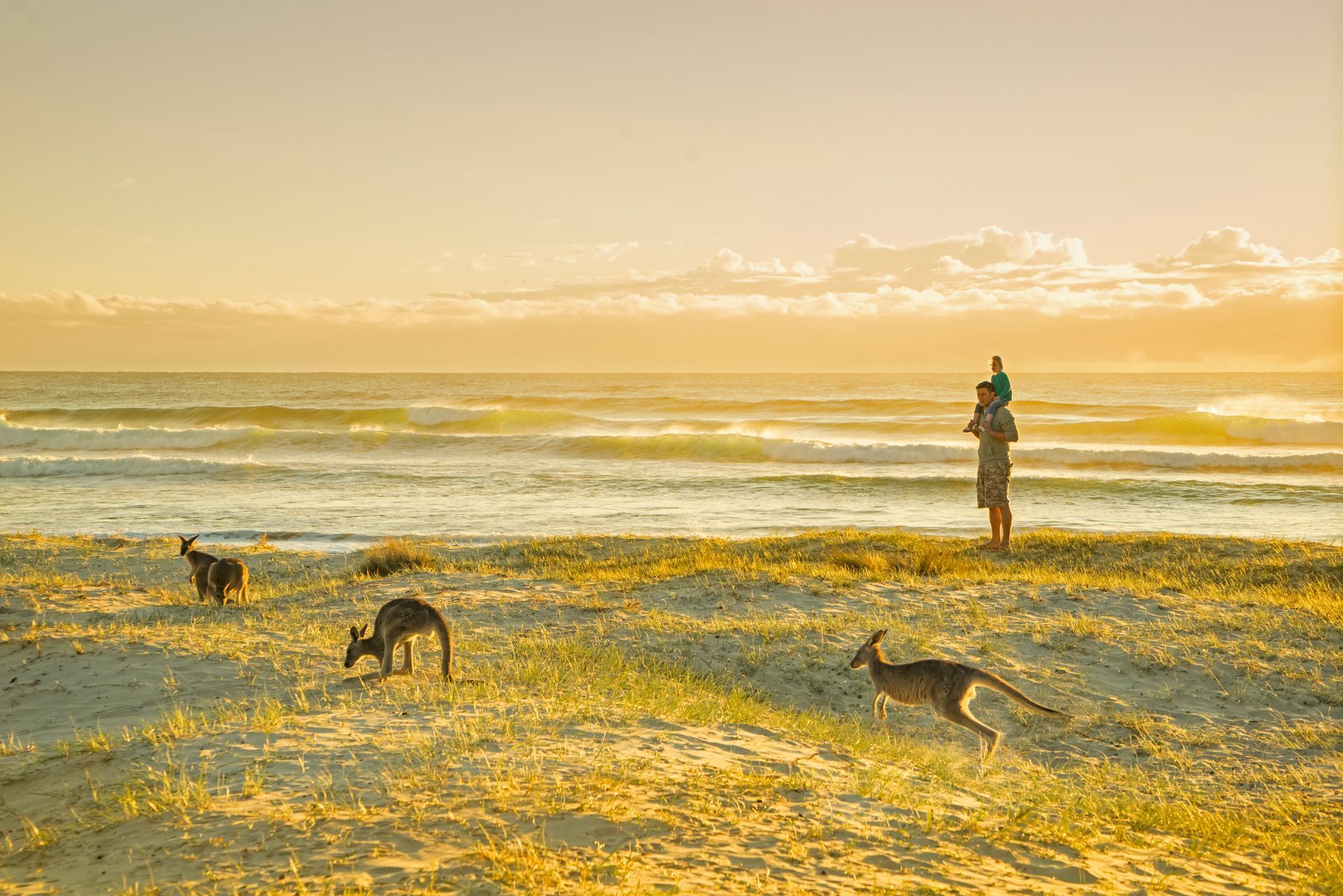 Archibald Prize 2023 at SECCA in Bega, South East Centre for Contemporary Art