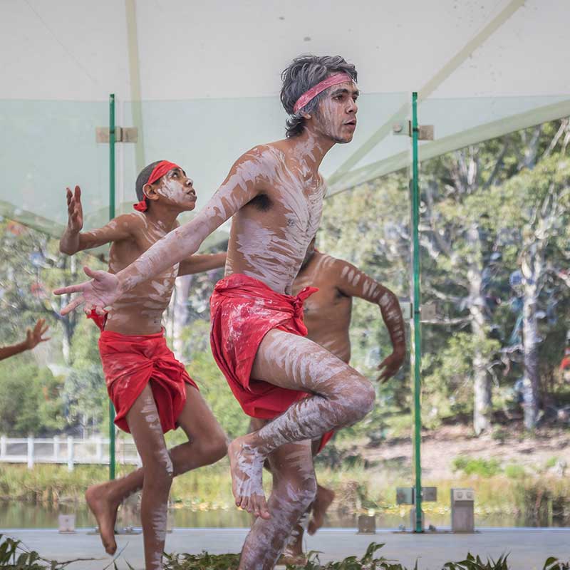 Aboriginal Cultural Experiences on the Sapphire Coast