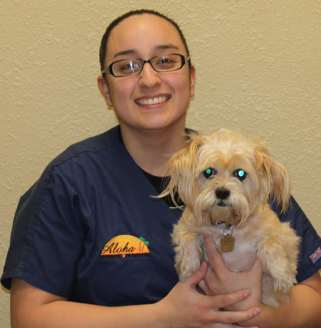 Aloha Animal Hospital