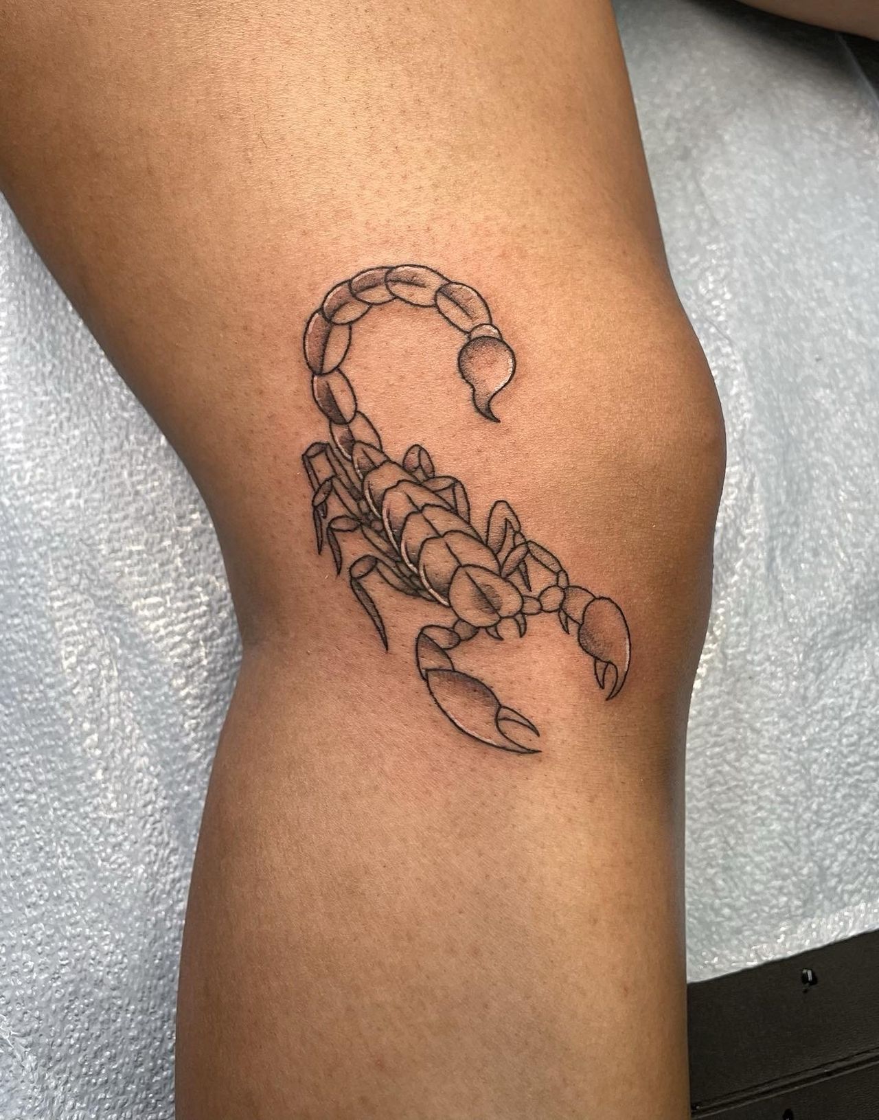 Scorpion - Manhattan, NY - Studio 28 Tattoo
