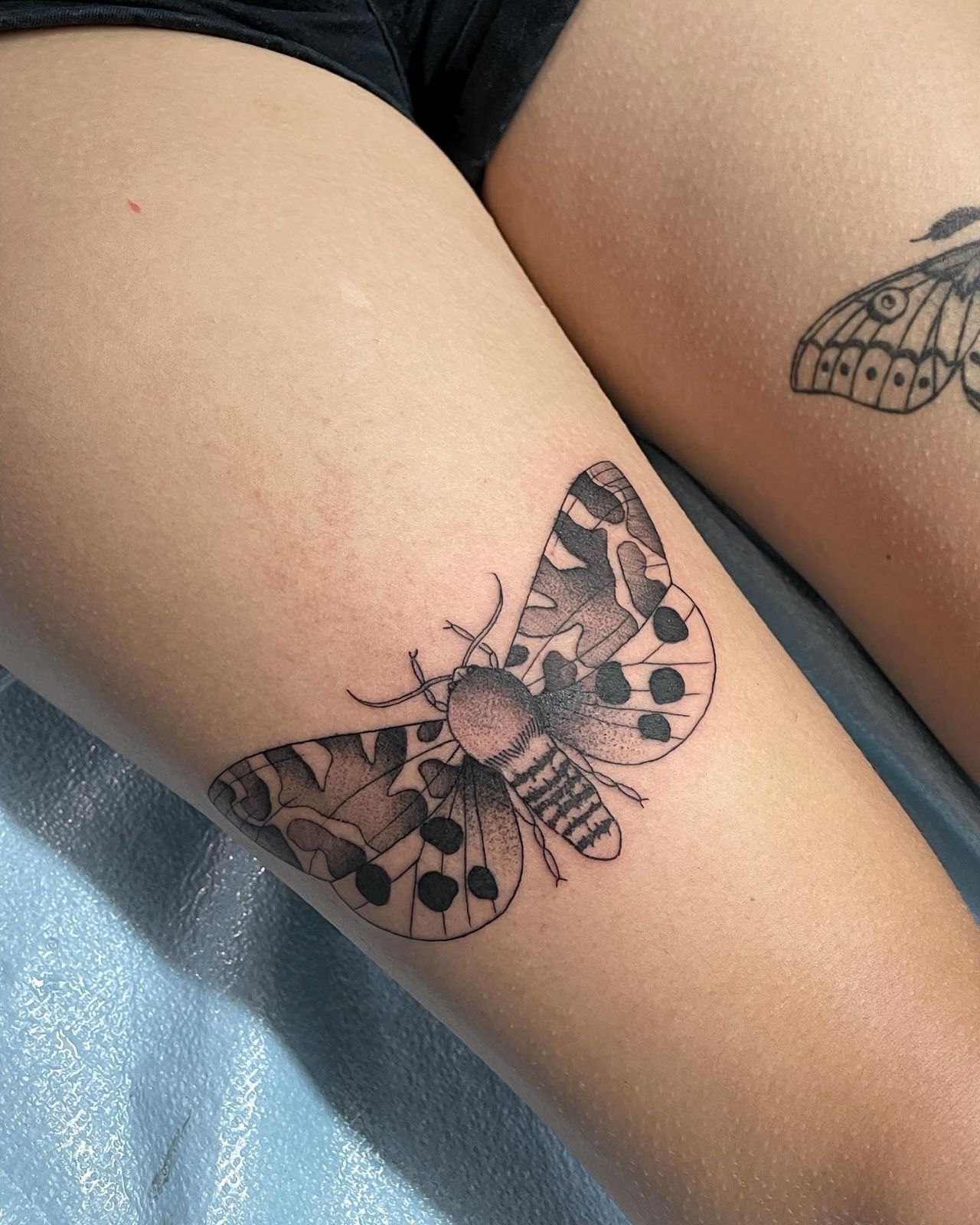 Moth - Manhattan, NY - Studio 28 Tattoo