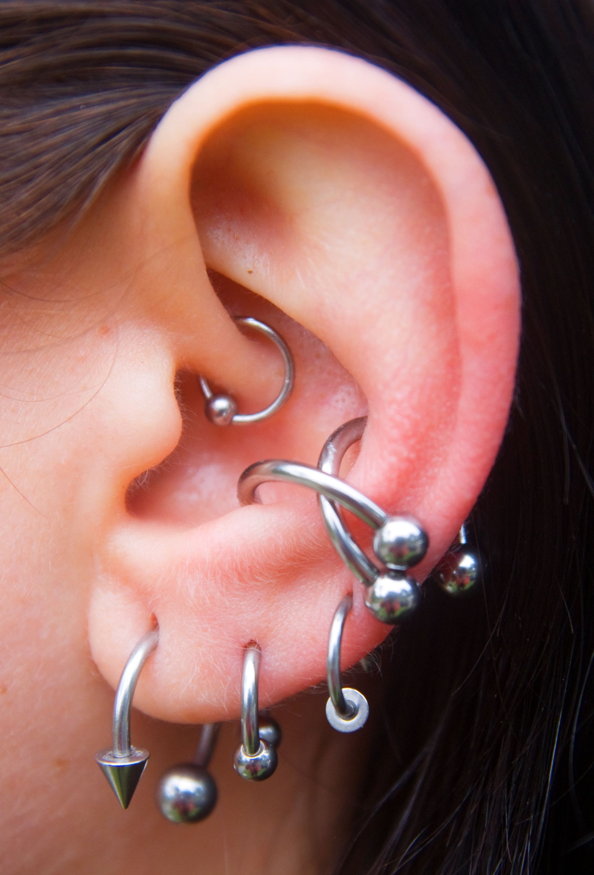 Close-up of multiple silver ear lobe piercing jewelry in a human ear with various styles and shapes.
