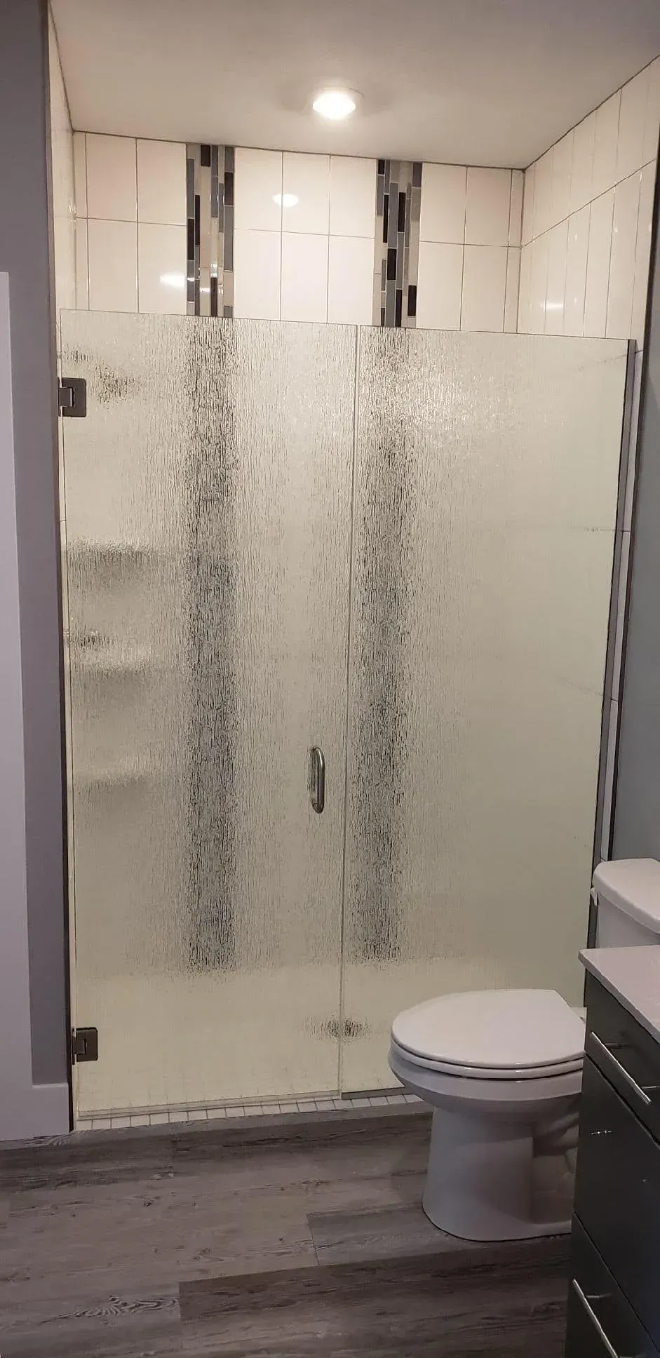 A bathroom with a walk in shower , toilet and sink.