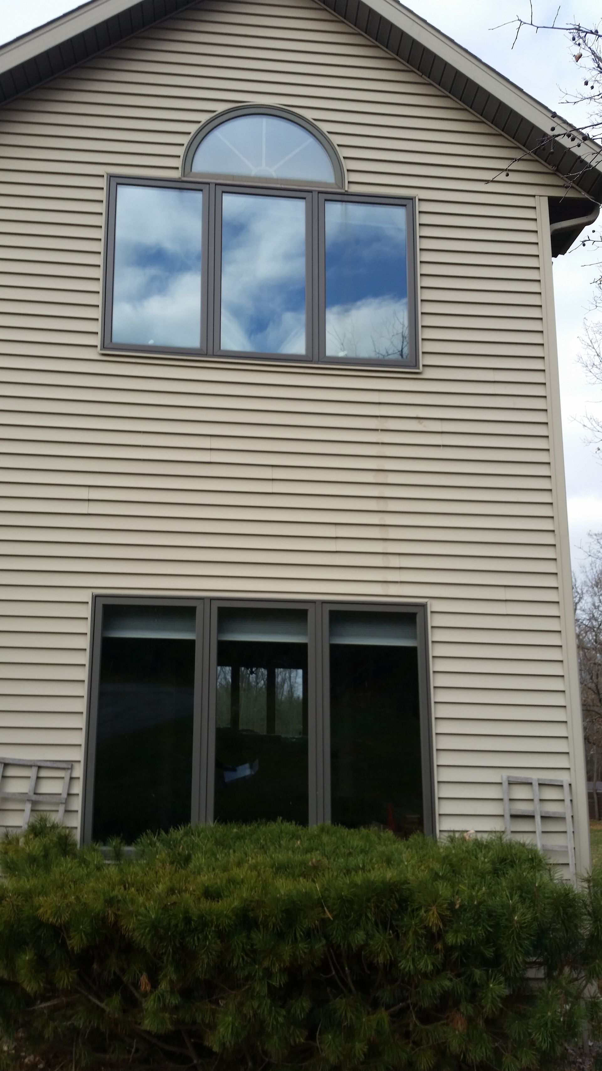 A house with a lot of windows and a bush in front of it