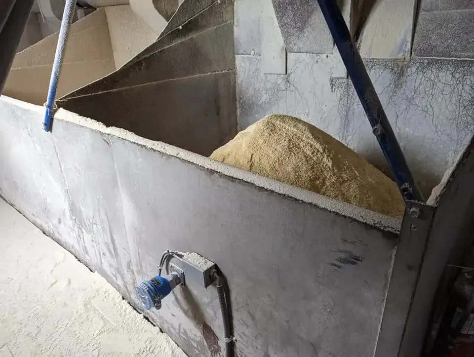 A large pile of light-colored, granular material sits inside a metallic industrial bin with an electrical junction box.
