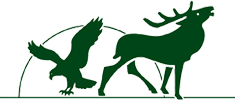 Grüne Silhouetten eines fliegenden Adlers und eines rufenden Hirsches über einer horizontalen Linie und einem Teilbogen.