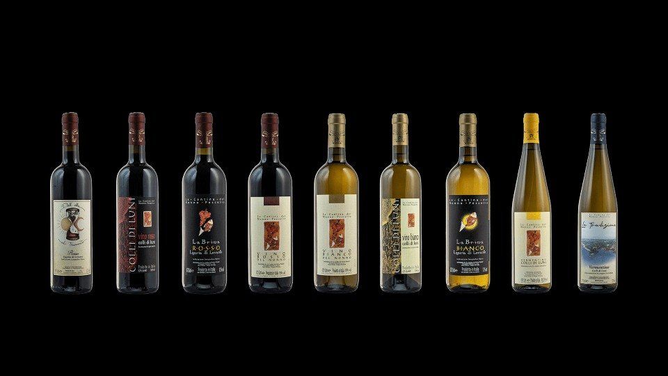 Vini Colli di Luni Cantina del Nonno Pescetto Santo Stefano di Magra