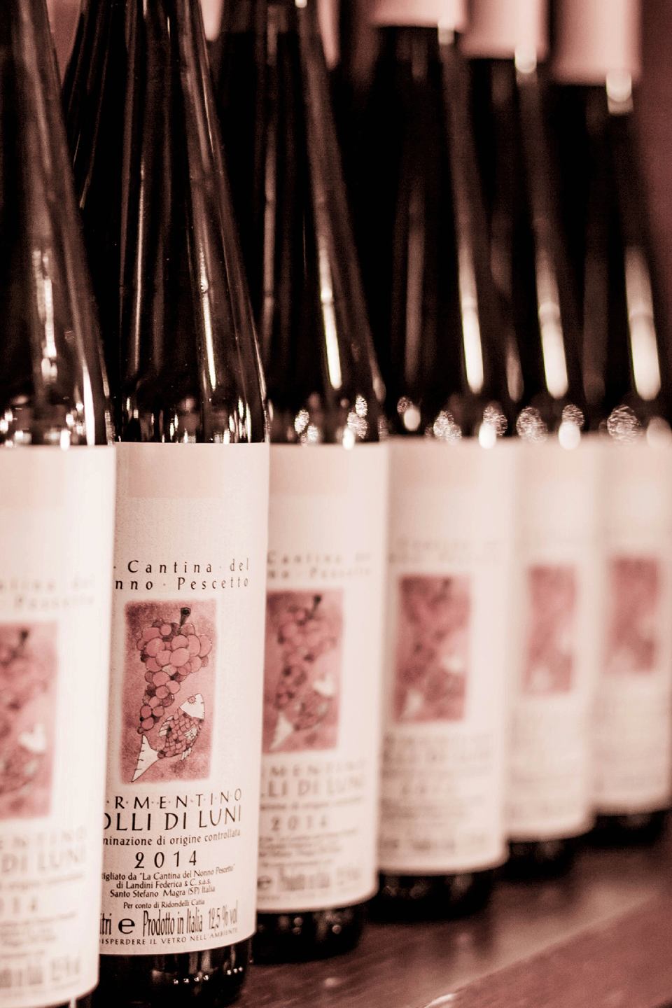 Vino Vermentino DOC Cantina del Nonno Pescetto Santo