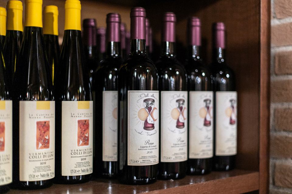 Vermentino DOC Cantina del Nonno Pescetto Santo Stefano di Magra