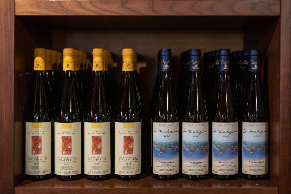 vino bianco colli di Luni Cantina del Nonno Pescetto