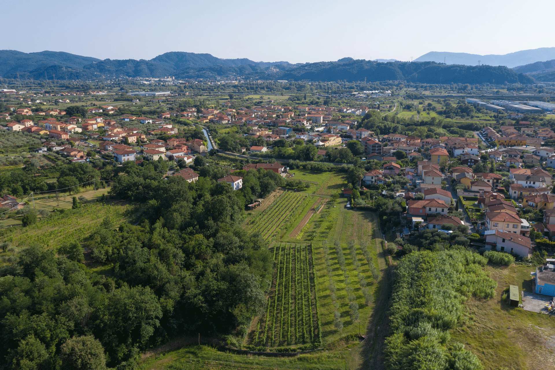 Consegna a domicilio
