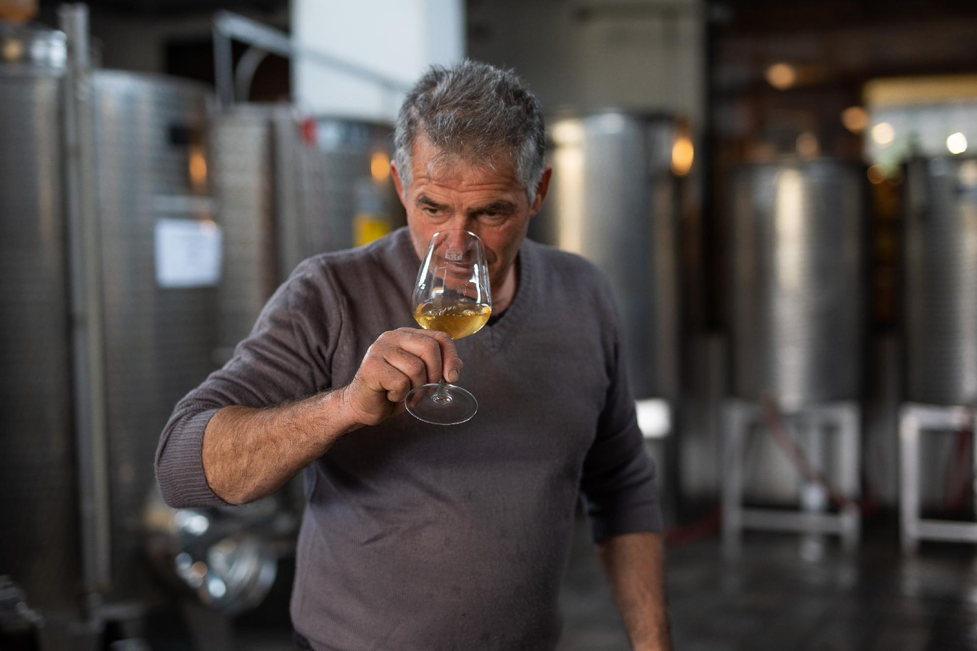 vino bianco sfuso La cantina del Nonno Pescetto