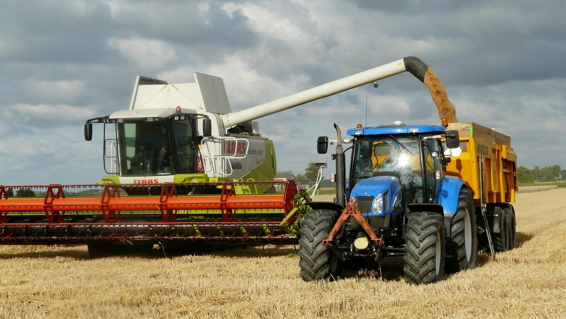 Two harvesters unloading grain into a blue tractor trailer in a wheat field under cloudy skies