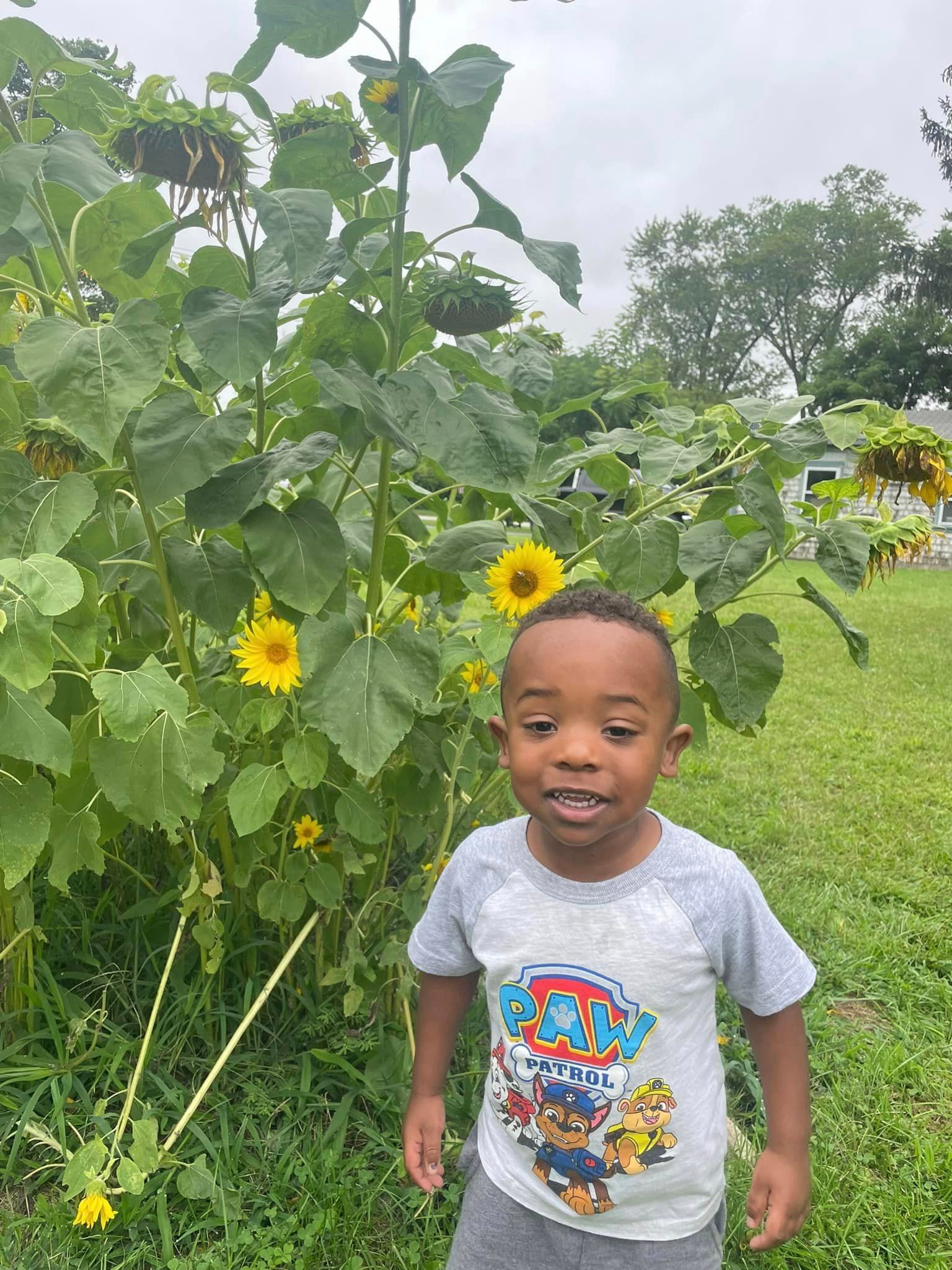 A little boy is standing in front of a sunflower field.