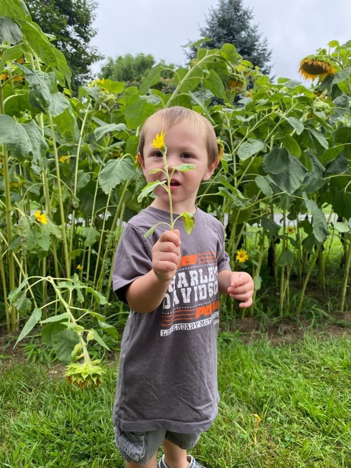 A young boy is holding a sunflower in front of a field of sunflowers.