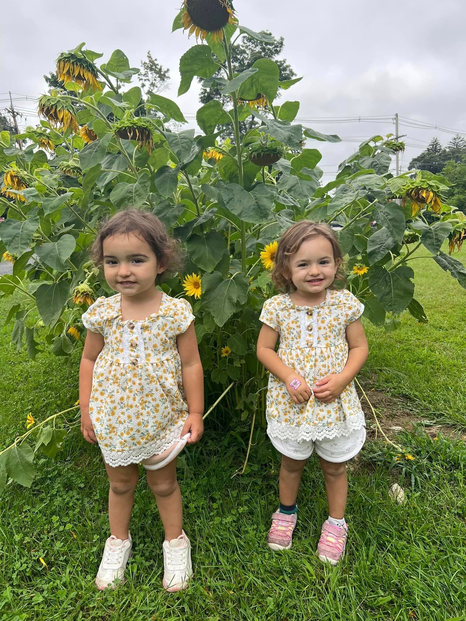 Two little girls are standing next to each other in front of a sunflower field.