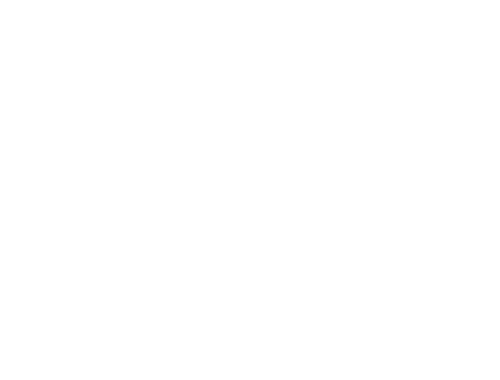 Masshole Garage Logo
