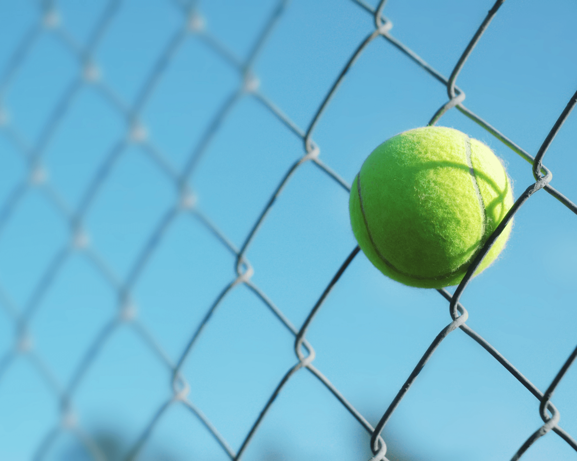 tennis ball stuck in fence