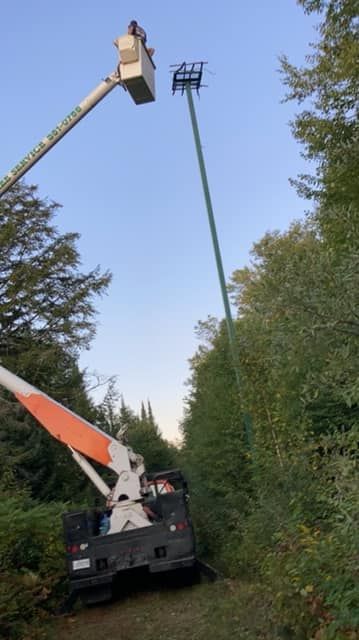 Two bucket trucks working on a tall green pole in a wooded area; blue sky in background.