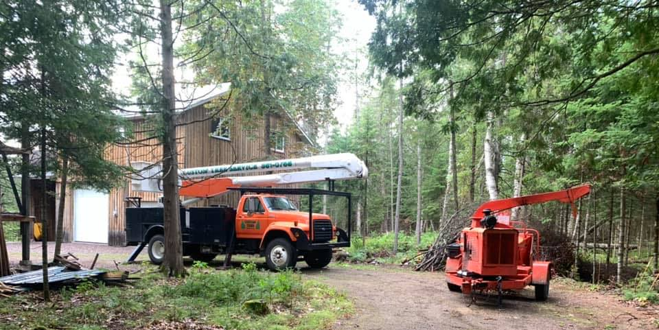 An orange tree service truck and wood chipper are parked outside a wooden building in a wooded area.
