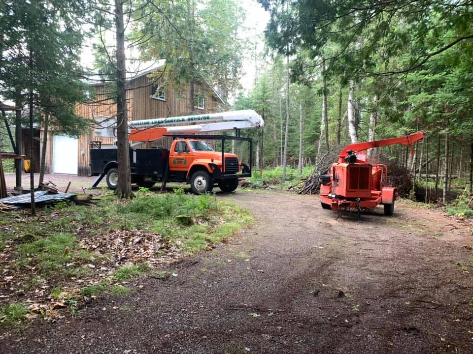 Orange truck and wood chipper in a wooded area, near a wooden building.