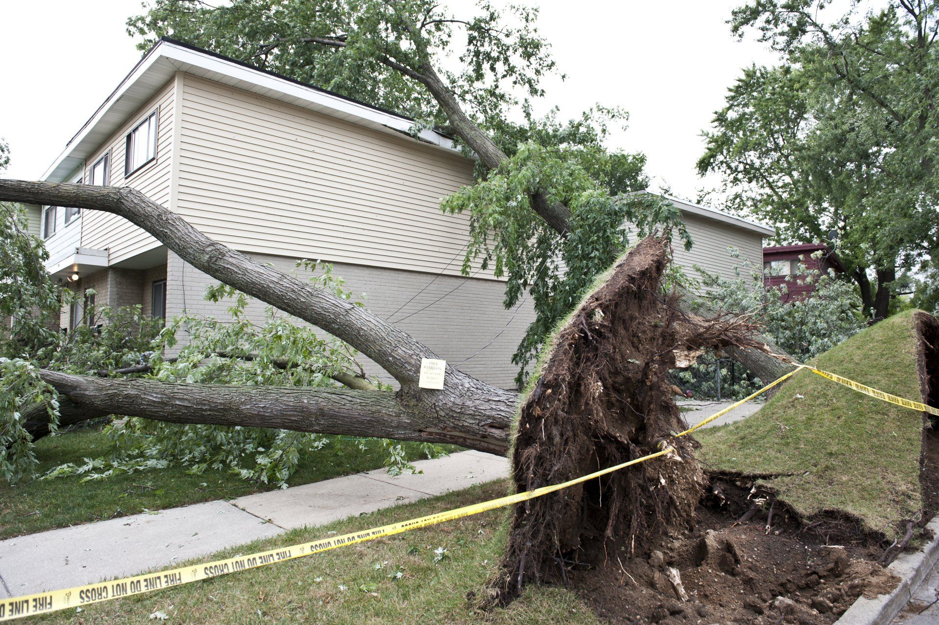 Fallen tree on a house; large tree trunk and roots lie on a building's roof and lawn, yellow caution tape present.